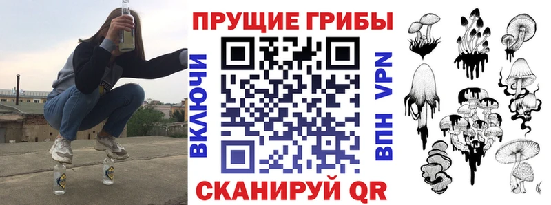 сайты даркнета клад  Карабаш  Псилоцибиновые грибы Cubensis  KRAKEN онион 